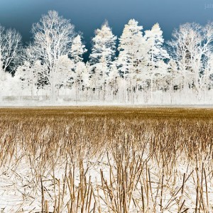 Exploración del paisaje