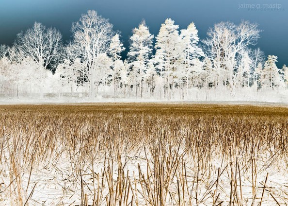 Exploración del paisaje